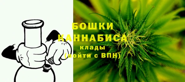 гидра Аркадак