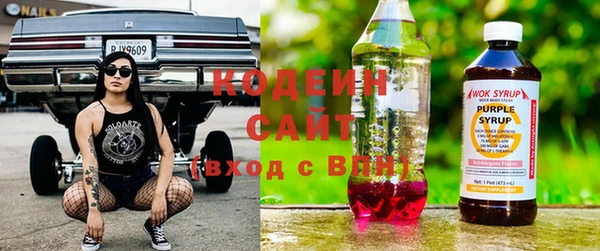 ПСИЛОЦИБИНОВЫЕ ГРИБЫ Арсеньев