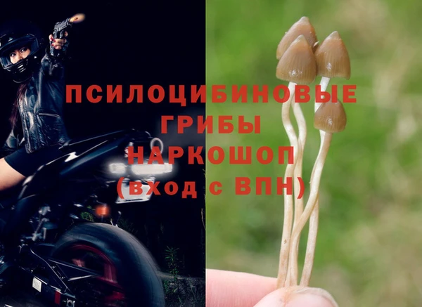гидра Аркадак