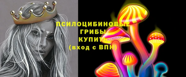 круглые Тавда