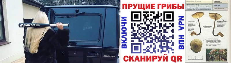Галлюциногенные грибы MAGIC MUSHROOMS  Купить где  Ворсма 