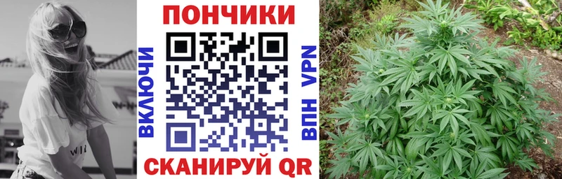 Купить  Ворсма  Шишки марихуана ГИДРОПОН 